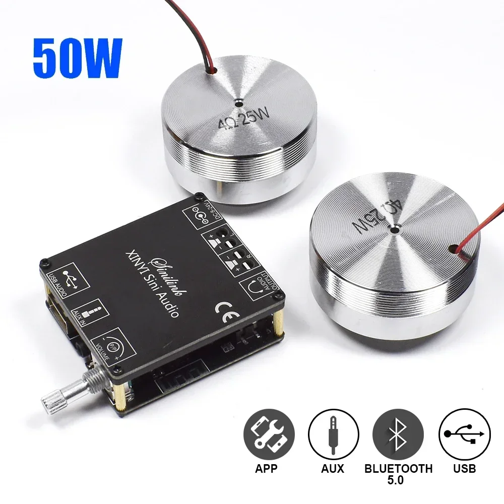 Home Cinema Idea - Haut-parleur stéréo Portable à vibrations, 2x25W,