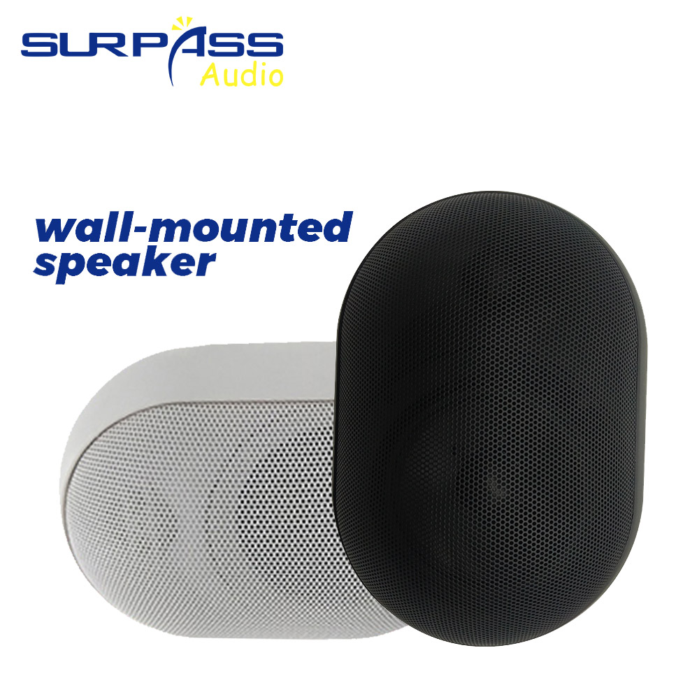 Wall Mount Speaker - 30W haut-parleur mural étanche IP55 système