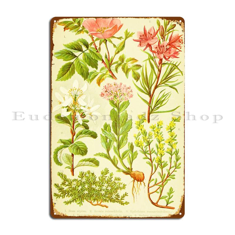 Hd Vintage Bouquet fleuri Desi - Home Cinema Wall Design avis et prix