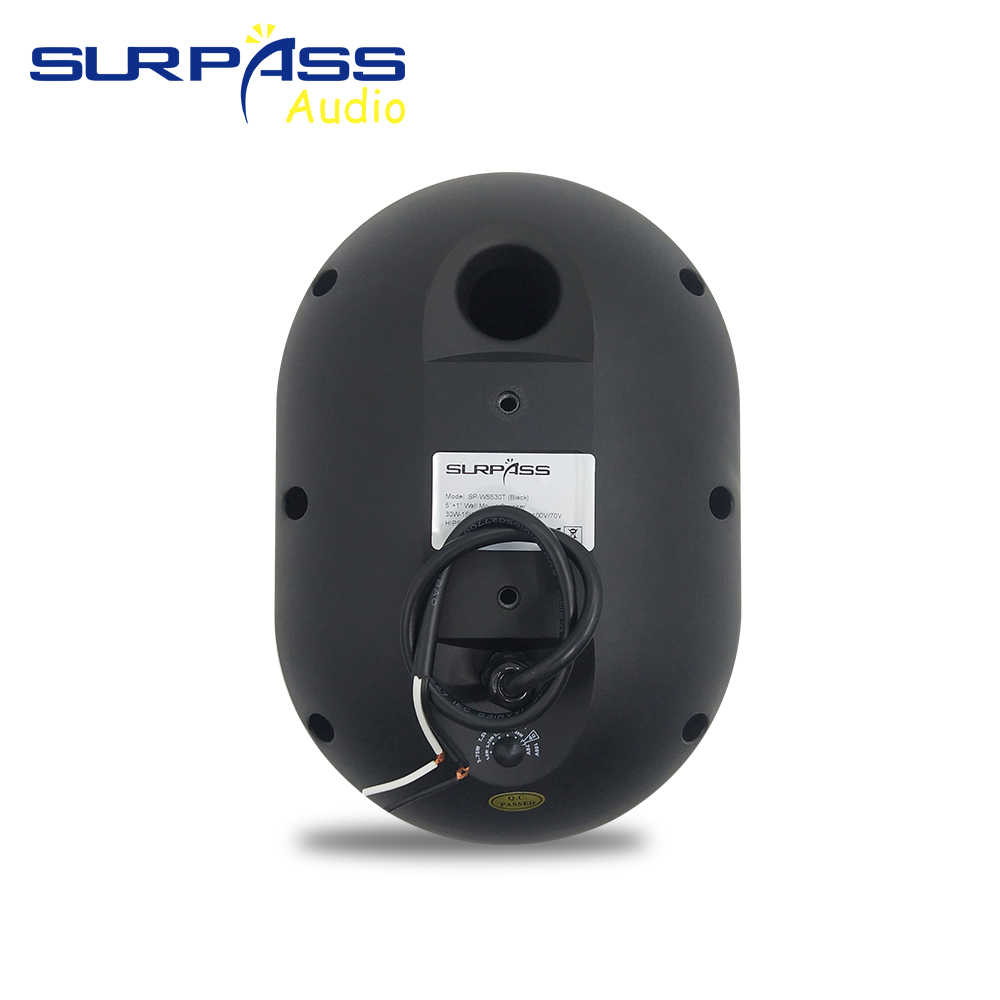 30W haut-parleur mural étanche - Wall Mount Speaker avis et prix